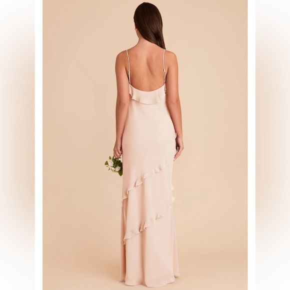 NWT Birdy Grey Valentina Chiffon Maxi Dress in Pale Blush - Picture 2 of 7